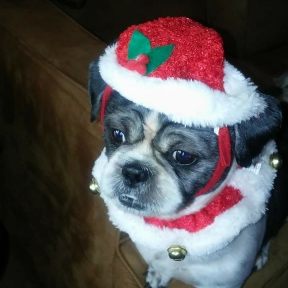 Meet your Posher, Katherine - Picture 4 of 4